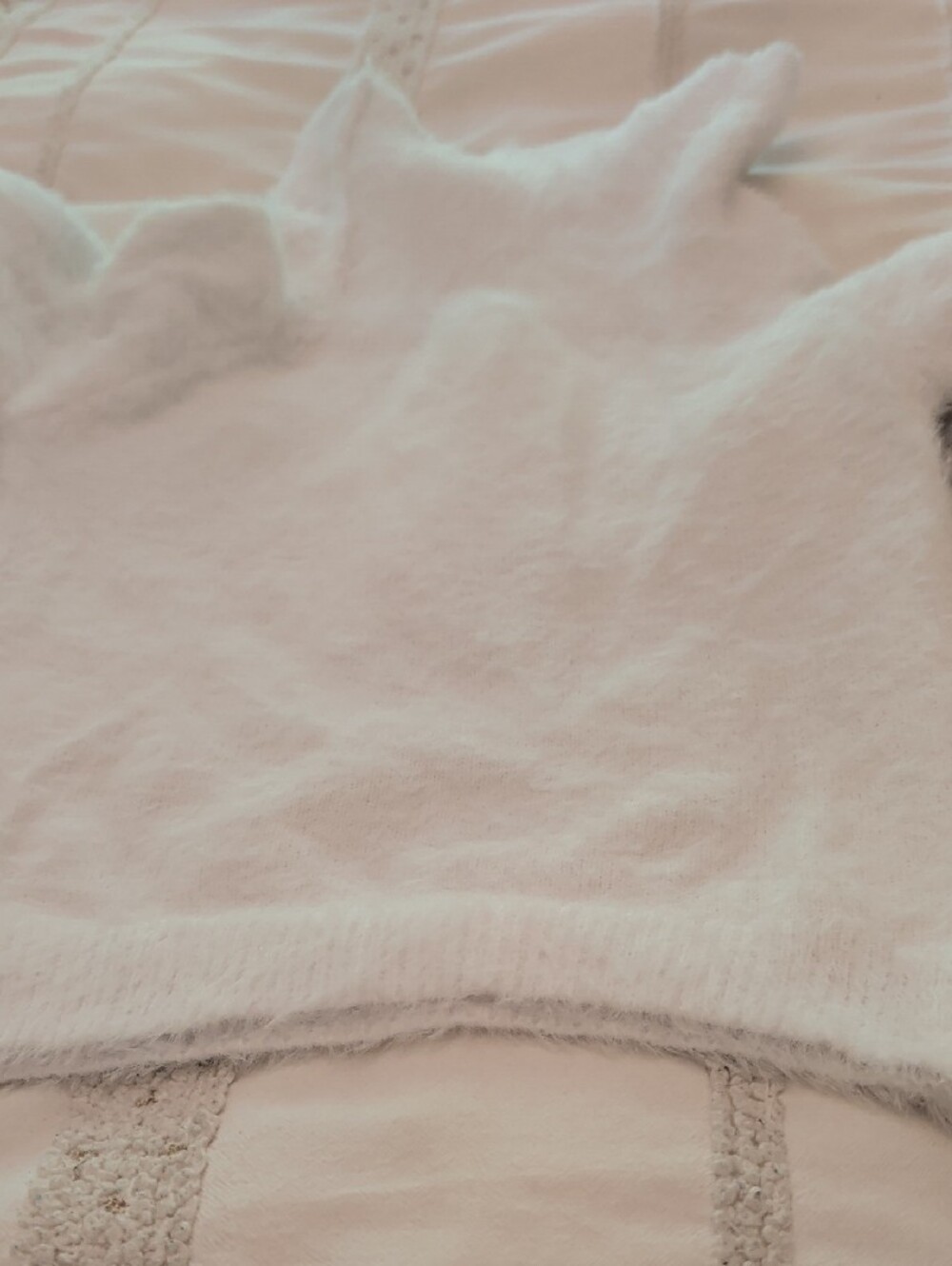 Off-Shoulder Fuzzy Sweater - Picture 5 of 5